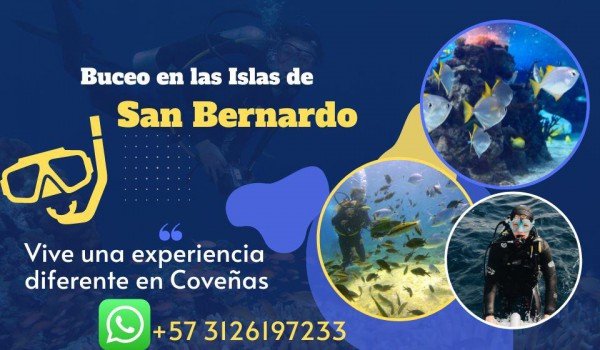 Tour Buceo en las Islas de San Bernardo